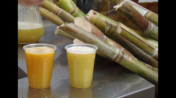 Fresh Pressed Sugar Cane Juice Available