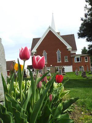 Spring in Vermont!