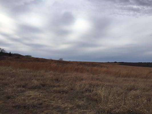 Black Kettle National Grasslands WMA