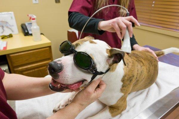 Laser Therapy