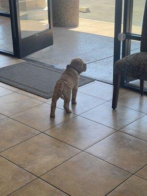 Cute little guy hanging out with his parents