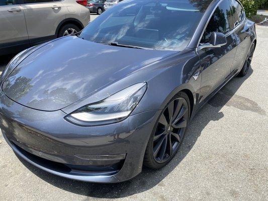 Tesla protection film  Flawless job !