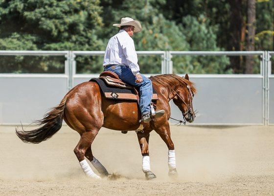 Photo by Jeni Jo Photography taken at the WSHP