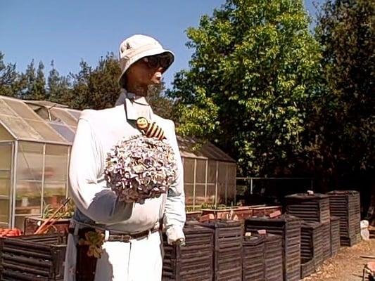 beetlejuice with compost bins