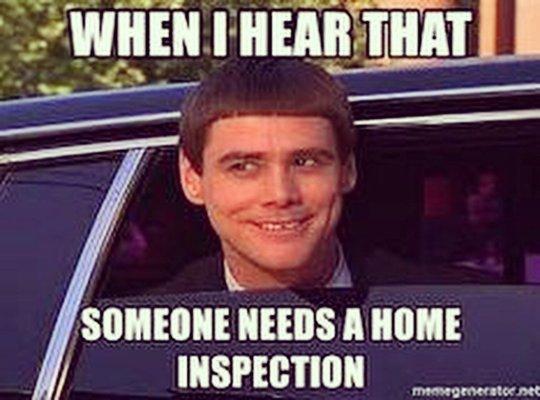 Need an inspection???