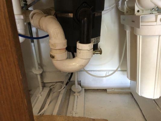 Mold under sink