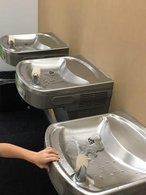 Low water fountain for the little kids