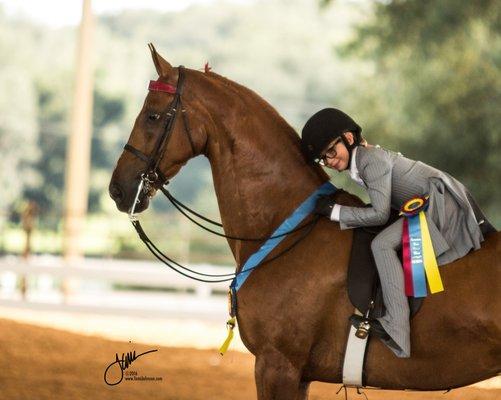 Bobbin Hollow Equestrian Center