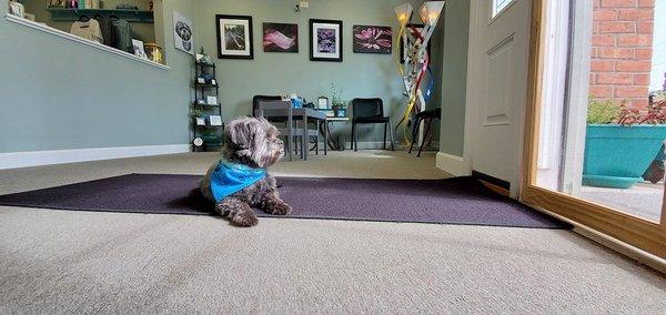 Jack, waiting to greet you in our reception area!