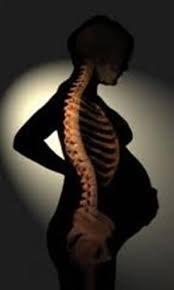 Chiropractic care is important during pregnancy!