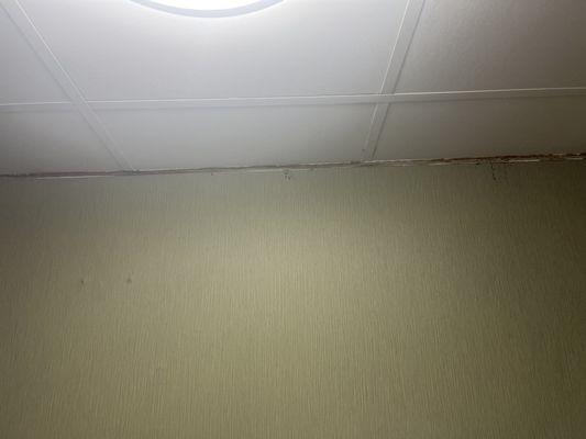 Bathroom ceiling