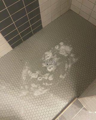 The shower didn't drain because of debris