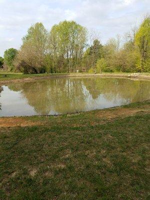 Catch a catfish in the catch and release pond.