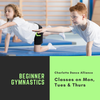 Beginner through advanced gymnastics / acro