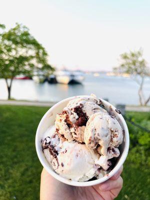 Moose track Coffee brownie  Berry