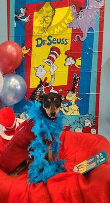 Dr. Seuss day at Camp Run A Mutt  How cute !!!