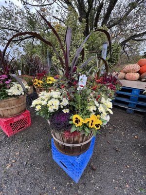 Autumn baskets