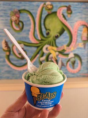 Vegan mint chocolate chip ice cream and mural.