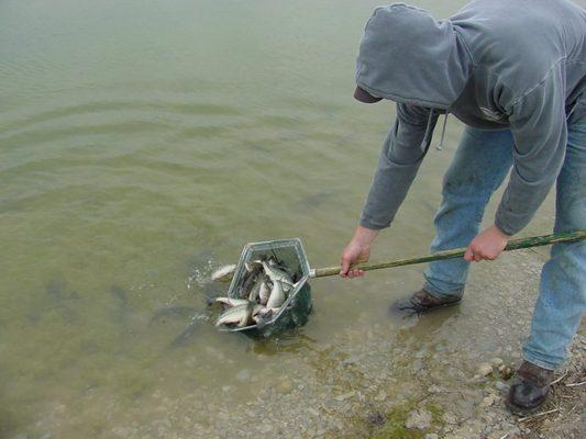 Fish stocking season March - May.