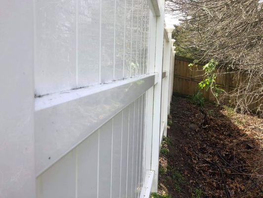 Vinyl Fence Soft Washed