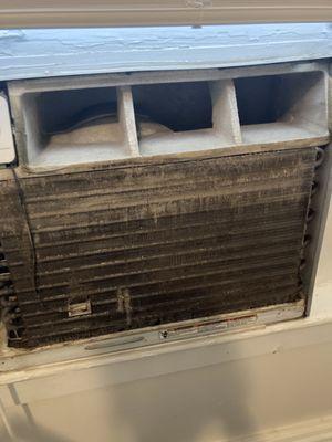 Air conditioner unit full of mold and dust. Hadn't been cleaned in years