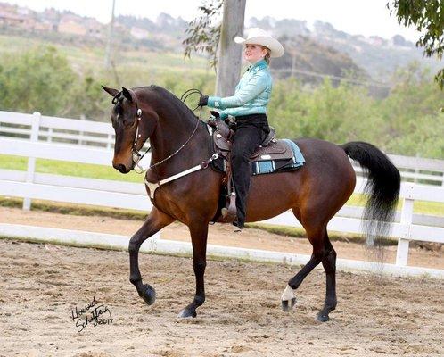 A child showing in a western class at the Diamond Jubilee Horse show in Del Mar