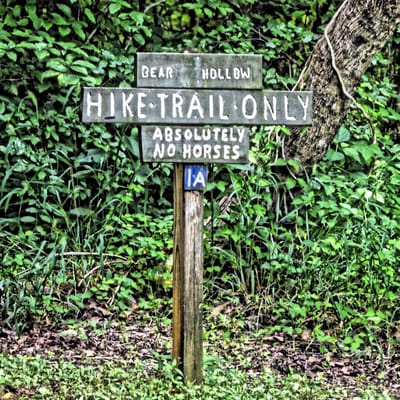 Hiking/Biking trails well marked, horses have their own: NE Park