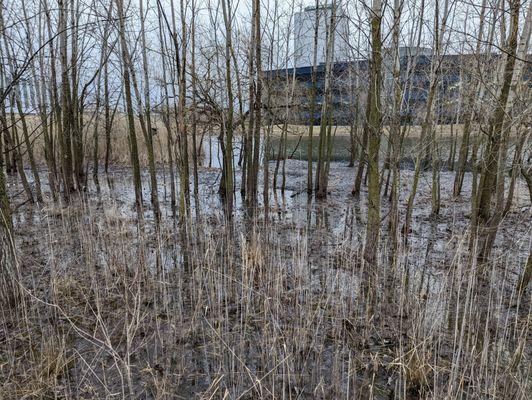 Wetlands. There are more trash in the grass then before. . People just can't keep places clean