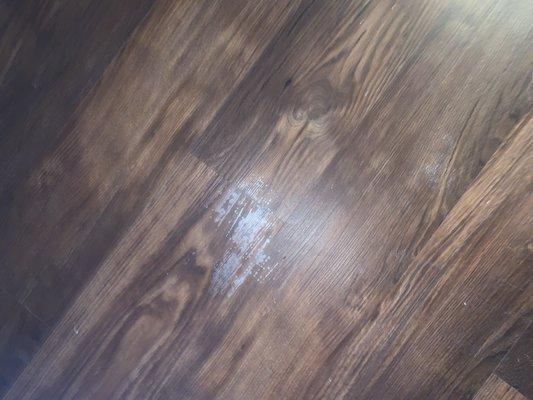 Stain/ glue on flooring