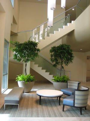 Interior Plant Design