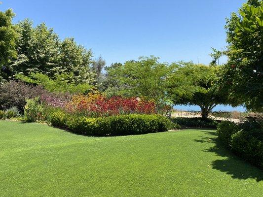 Yes, it's synthetic turf. Point Loma back yard