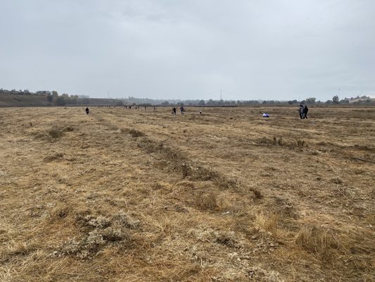 Join a planting day to plant native plants adjacent to the river