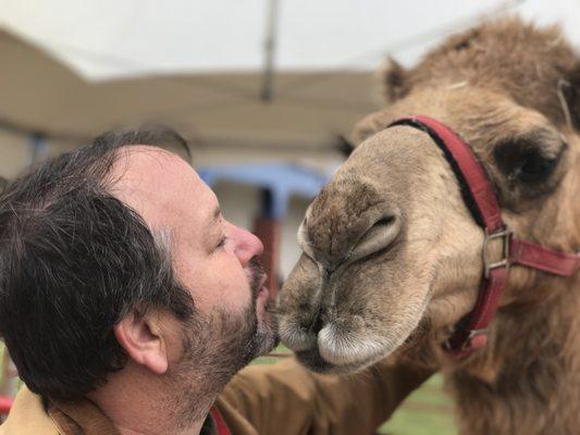 One of Sparkle Farm's engineers testing local camels for bipolar disorder.