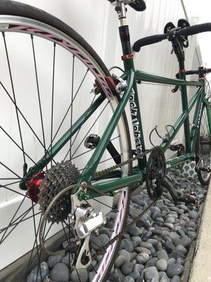 Spring 2018 project pc forest green tandem frame