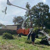 Bucket Truck in Action