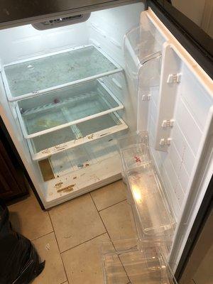 Before/ refrigerator