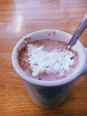 Hot Chocolate $1.69