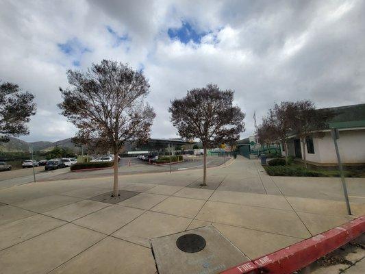 Looking toward the front of the school