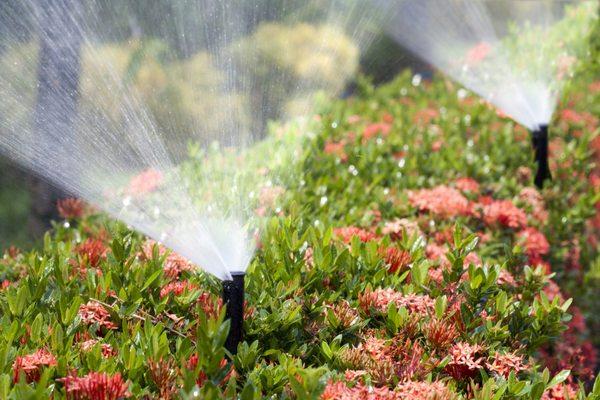 Irrigation system installation