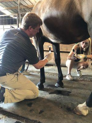 Dr. Randy is getting a closer look.