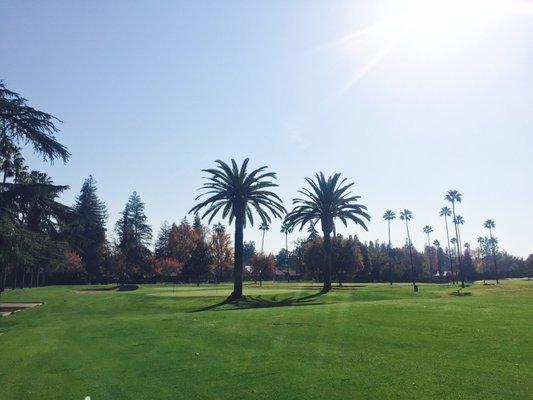 Thanksgiving morning golf