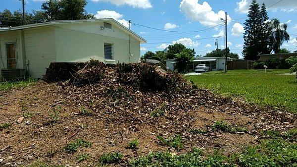 Large stump removal.  Photo 3/4.