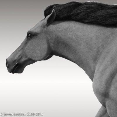 Full Scale Horse Sculpture for Display