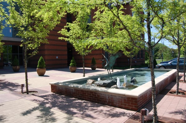 The Blue Heron statue located in our fountain which faces the parking lot.