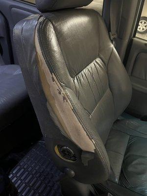 N-Motion Upholstery