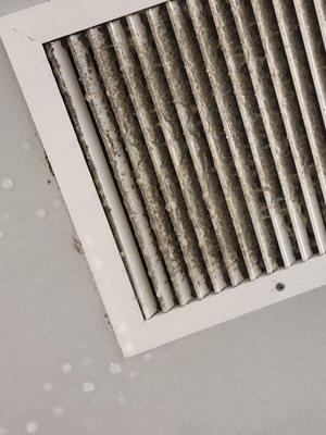 Disgusting air vents.