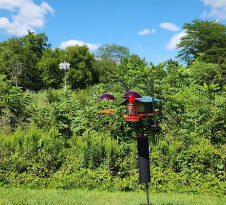 There's A Variety Of Feeders And Houses.