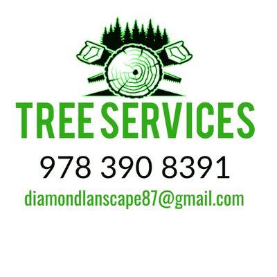 Best Tree Services