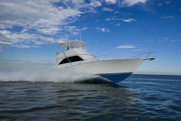 Seaduction Sportfishing