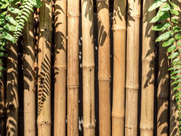 Bamboo Fusion